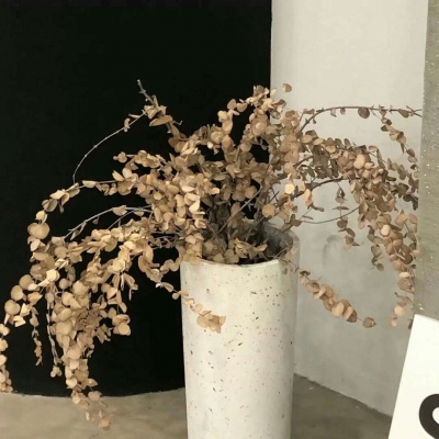 白水FurryQQ群介绍